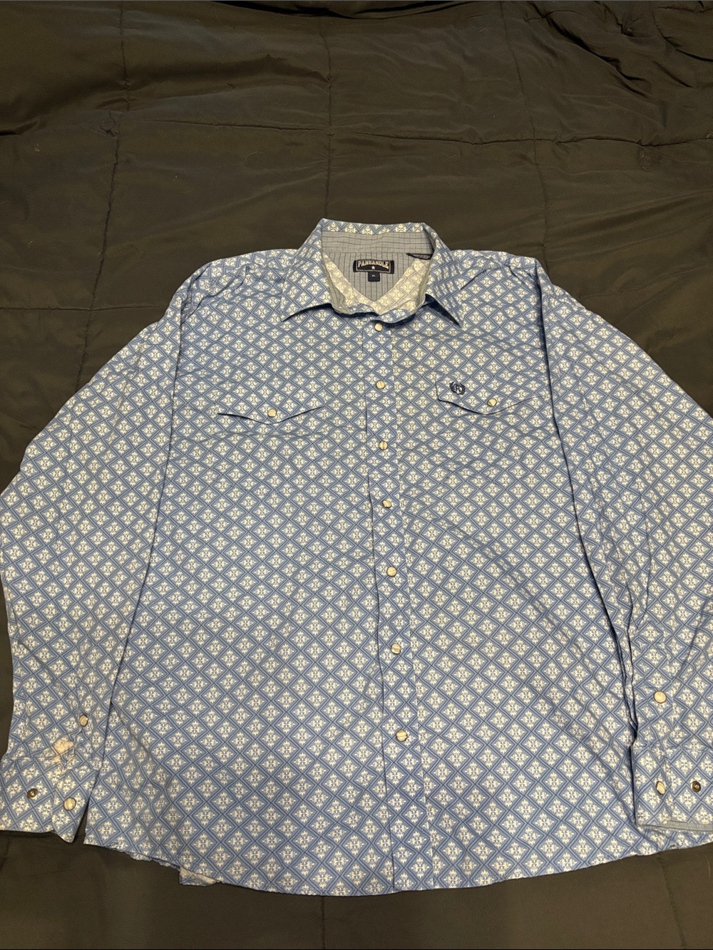 Panhandle Men's Blue Geometric Print Long-Sleeve Button-Down Shirt